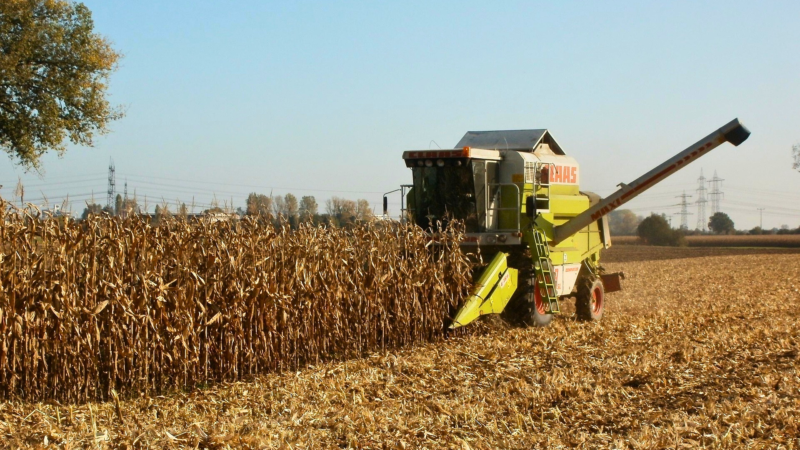 Dólar em alta e Bolsa em queda: o impacto das tarifas de Trump