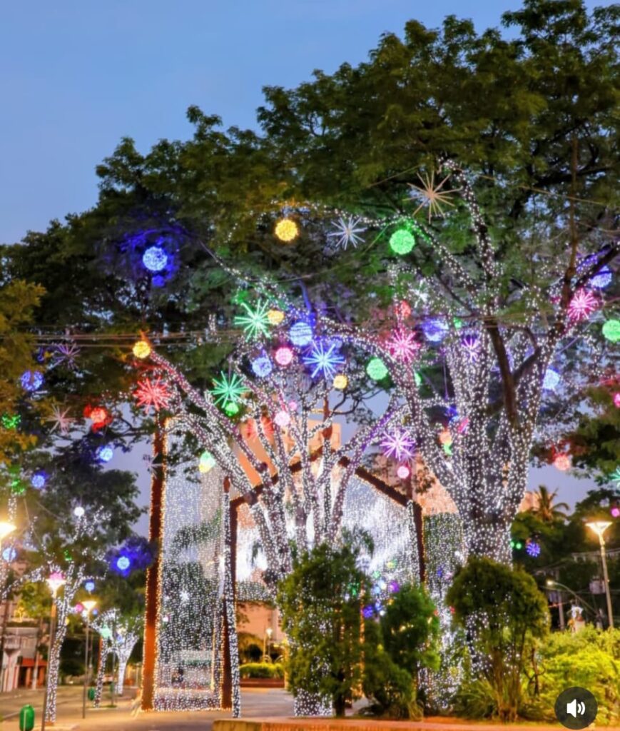 natal betim luz, iluminação de natal em betim, natal em betim, circuito natalino betim, turismo em betim, programação de natal, cultura betim, eventos betim, decoração natalina betim