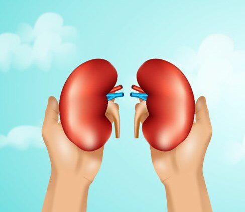 Dia Mundial do Rim marca campanha de conscientização sobre a saúde renal