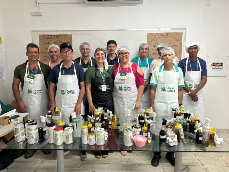 Curso de plantas medicinais em Betim incentiva cosméticos naturais