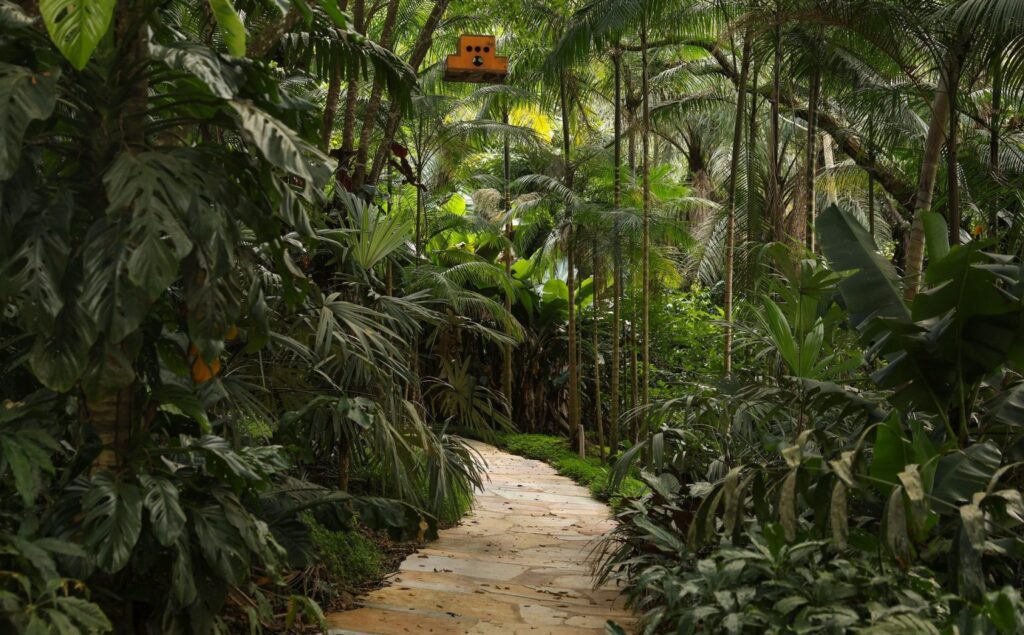 O acervo que faz dos Inhotim 20 anos uma conquista histórica