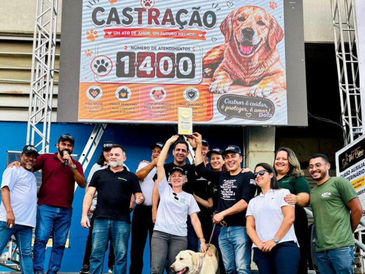 Betim bate recorde nacional com 1.462 castrações de cães e gatos em um único dia