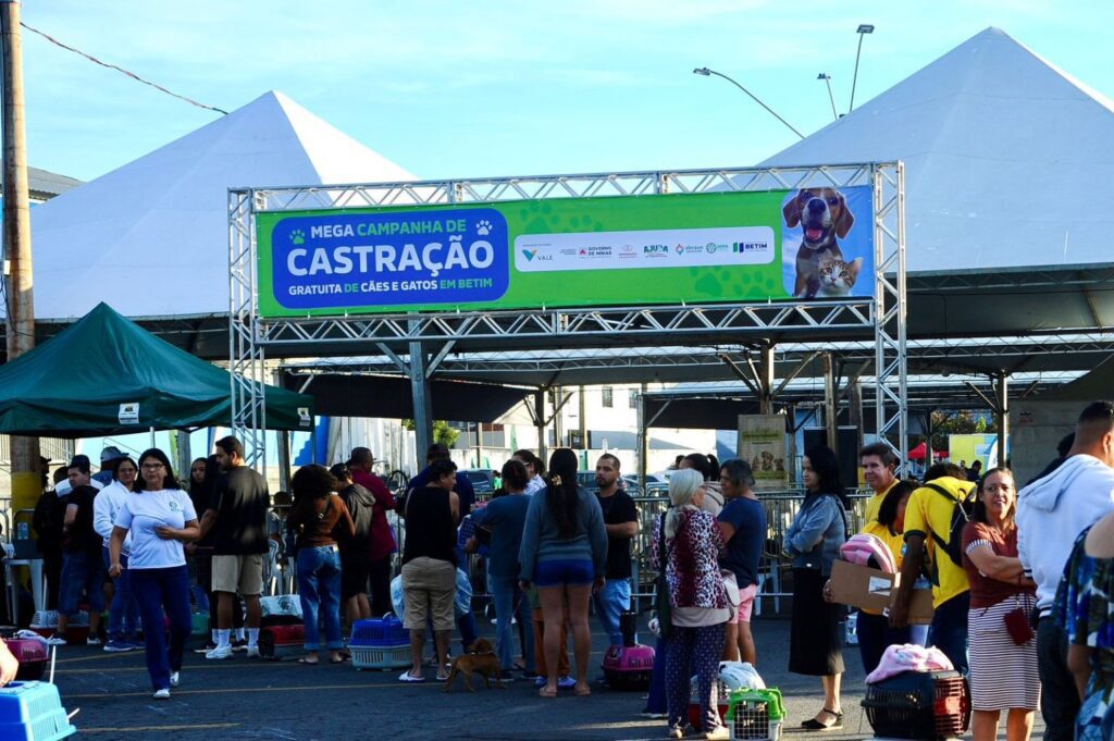 castrações de cães e gatos