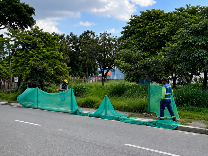 Mutirão de capina e limpeza de vias em Betim