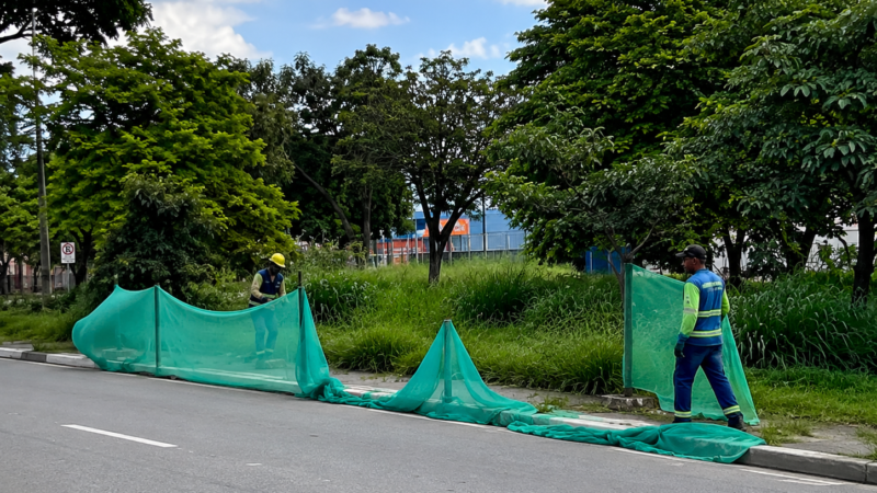 Mutirão de capina e limpeza de vias em Betim