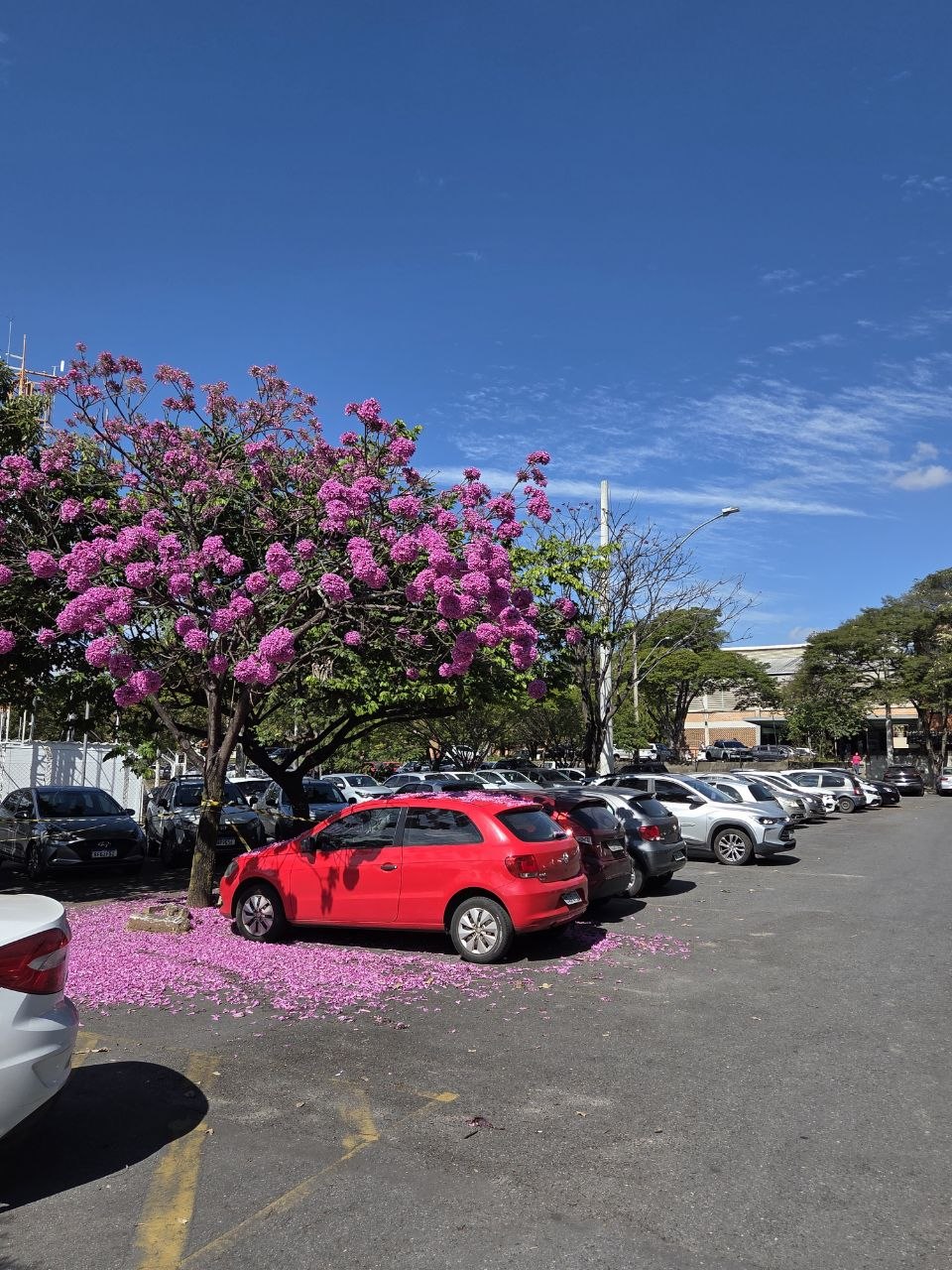 ponto facultativo em Betim