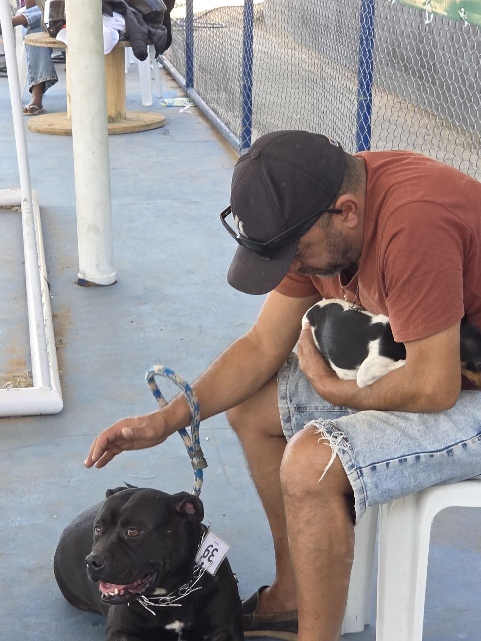 Castramóvel no Jardim Teresópolis atende cães e gatos