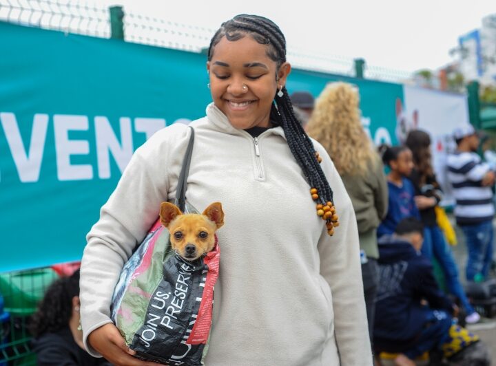 Castrações de animais em Betim chegam a quase 10 mil 