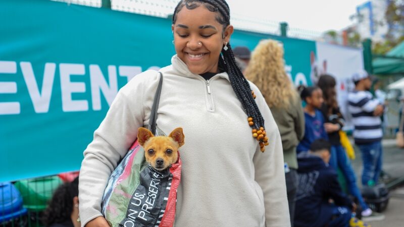 Castrações de animais em Betim chegam a quase 10 mil 