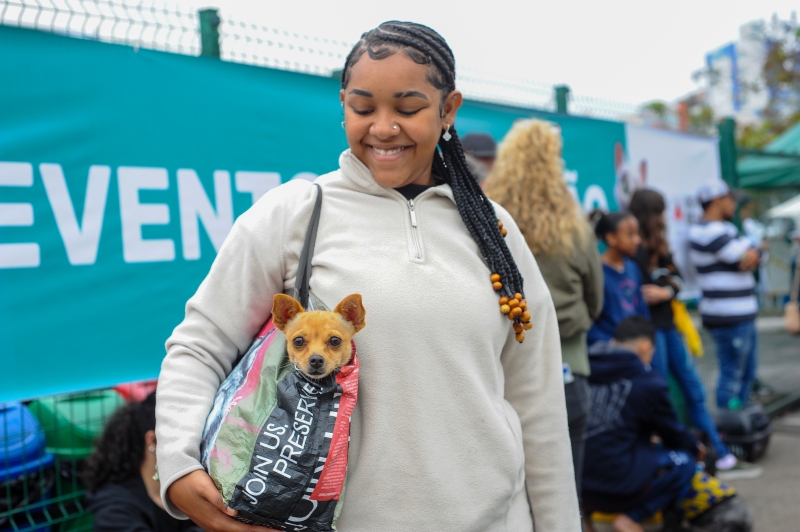 Castrações de animais em Betim chegam a quase 10 mil